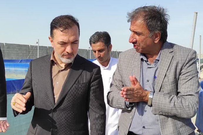  نخستین مرحله برداشت از مزرعه پرورش میگوی فوق متراکم جزیره