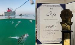 مقام نخست جشنواره عکس ایران من به عکاس قشمی رسید